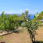 Marusici 1024b * Mimice