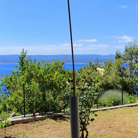 Lejlighed Marusici 1024b